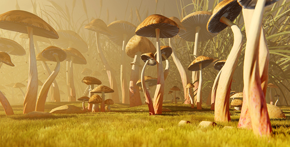 Glade With Poisonous Mushrooms 1 alt