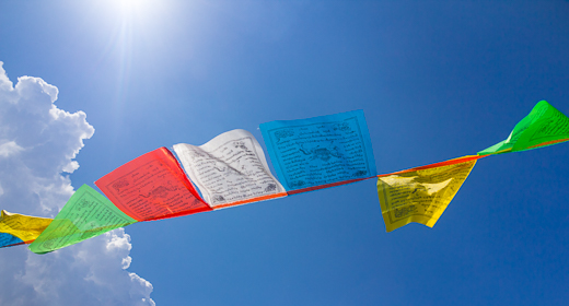 EggHeadPhoto's choice