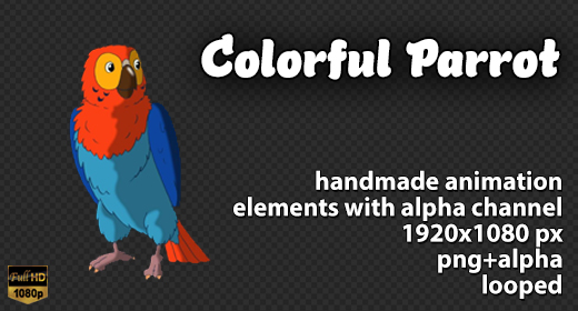 Colorful Parrot