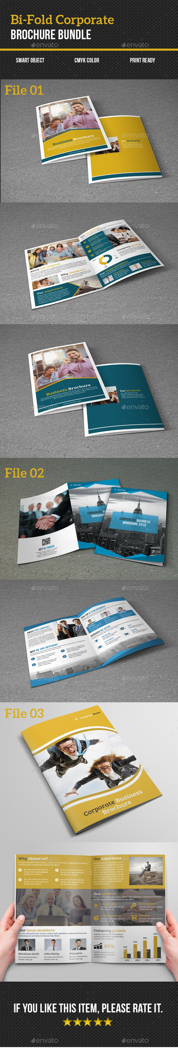 Bi-Fold Corporate Brochure Bundle - Corporate Brochures