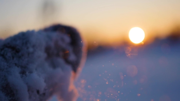 Girl Blows Snow with Hands on Sunset Background  in Bokeh