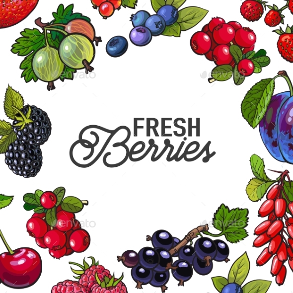 Frame of Garden Berries with Round Place for Text - Flowers & Plants Nature