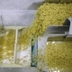 Conveyor with Pasta - VideoHive Item for Sale