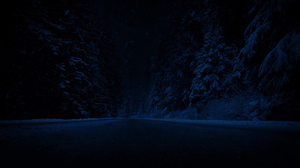 Road Through Forest In Snowfall At Night, Stock Footage | VideoHive