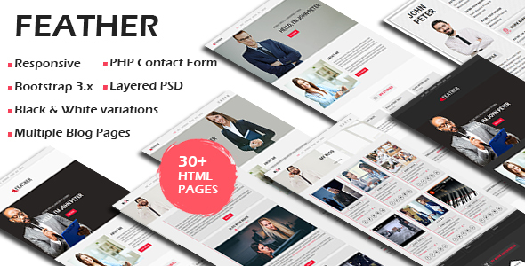 Top FEATHER - Multipurpose Responsive Personal Portfolio, Resume One Page HTML Template