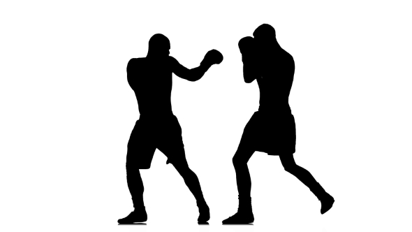Non-contact Training Two Boxers in the Silhouette alt