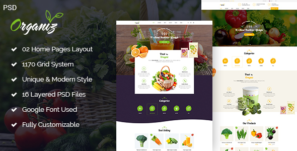Organiz - A Powerful Organiz Store PSD Template