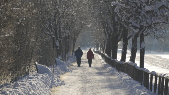 Couple Walks in the Park Alley in Winter
