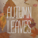 Autumn Leaves Pack - VideoHive Item for Sale