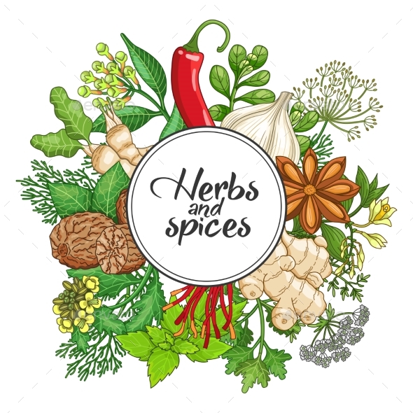 Vector Hot Round Design with Spices and Herbs - Flowers & Plants Nature