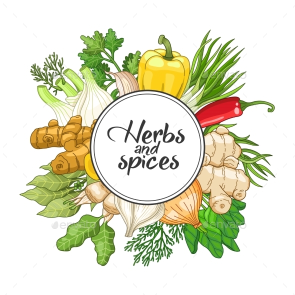 Vector Vegetable Round Design with Spices - Flowers & Plants Nature