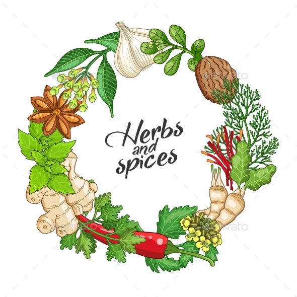 Vector Hot Circle Template with Spices and Herbs - Flowers & Plants Nature