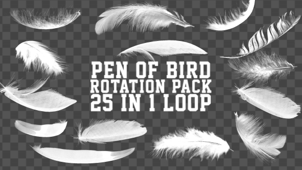 Rotation Feather Pack