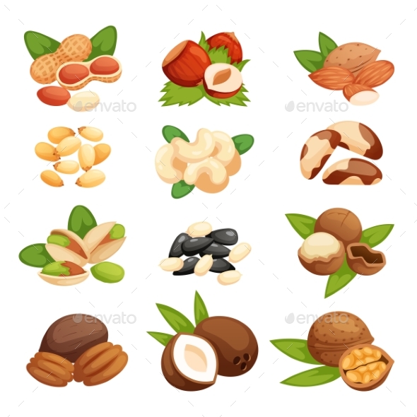 Set of Nuts Vector Illustration - Food Objects