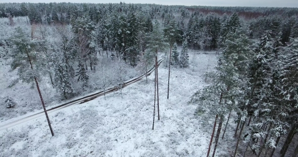 Aerial View of Snowy Forest at Winter