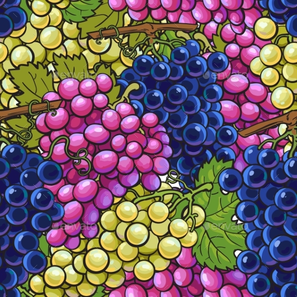 Seamless Pattern with Bunches of Grapes - Backgrounds Decorative