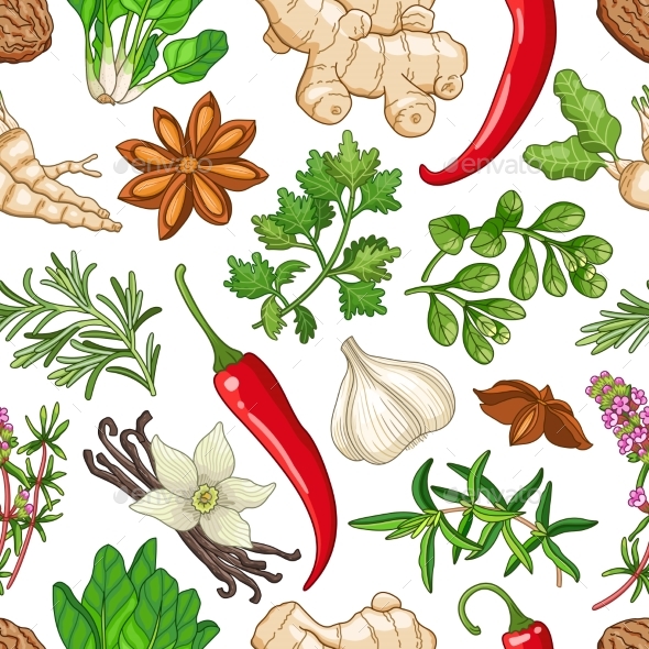 Vector Hot Pattern with Herbs on White - Flowers & Plants Nature