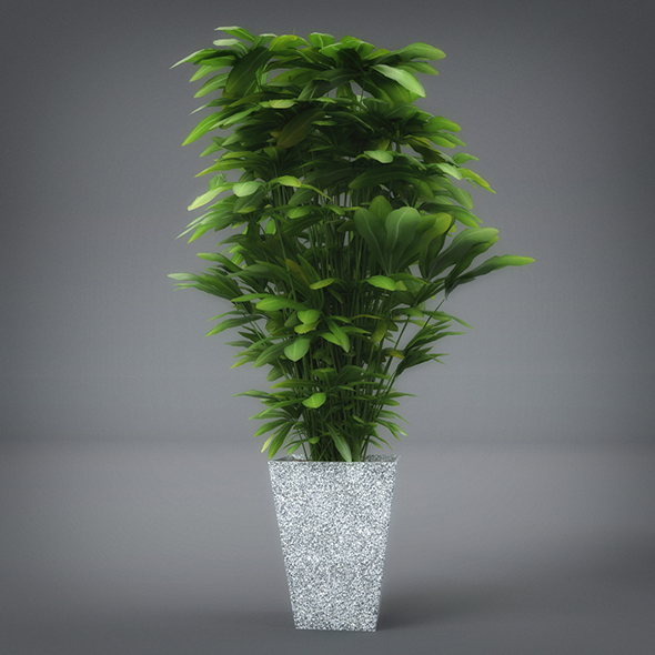 Interior Plant (3dsmax - 3Docean 19322231