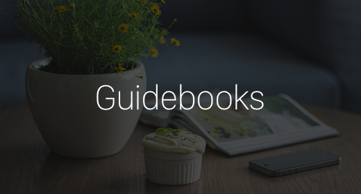 Guidebooks