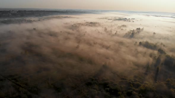 Epic aerial view of sunrise fog covering field with trees. Autumn sunny cold morning. 4K