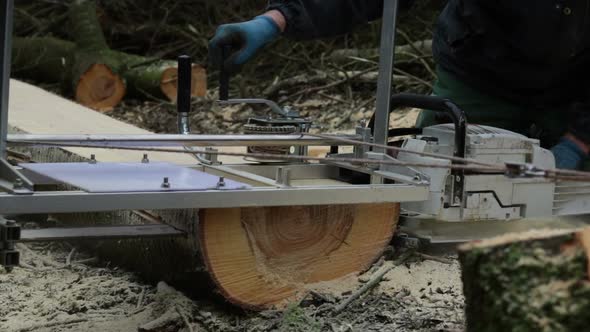 Close Up Of Lumberjacks Planking Cherry Tree Trunk With Chainsaw And Jig, Success
