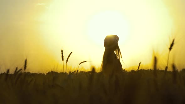 Silhouette of Romantic Woman in Field at Sunset alt