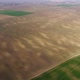 The Spring Field is Sown with Agricultural Crops Which are Beginning to Grow - VideoHive Item for Sale