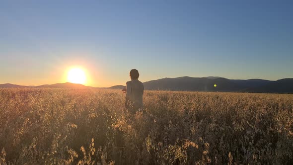 a boy in a shirt runs through a field with oats