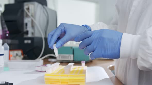 Scientist examining frozen samples takes out of deep freezing in a lab alt