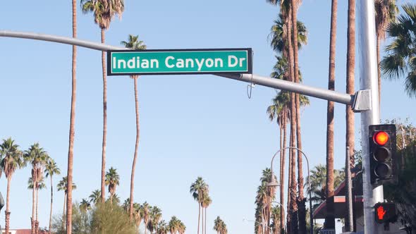 Palm Trees in City Near Los Angeles Street Road Sign Semaphore Traffic Lights