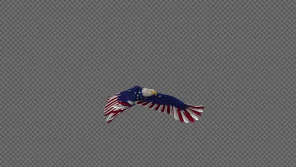 American Eagle - USA Flag - Flying Loop - Side Angle 4K alt