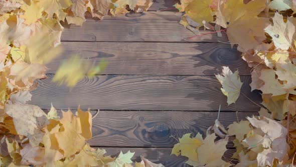 Rustic Fall Background Autumn Leaves Over Rustic Background of Barn Wood