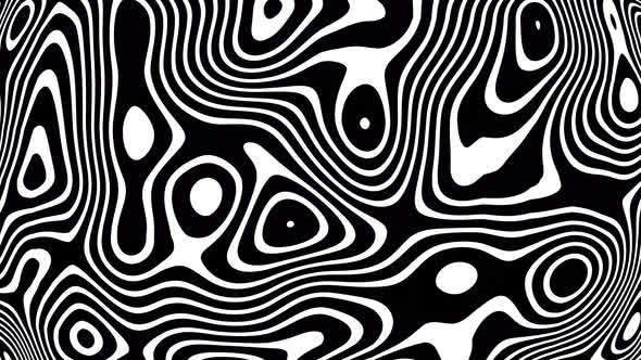 Black and white wavy lines, Motion Graphics | VideoHive