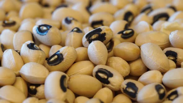 Cowpea Beans alt