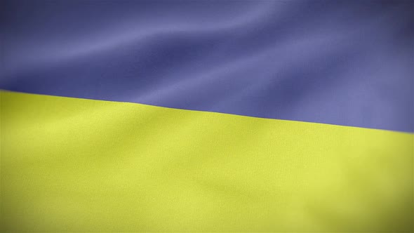 Ukraine Flag alt