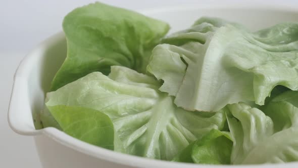 Washed lettuce Lactuca sativa vegetable leaves slow tilt 4K footage