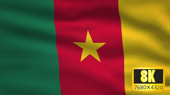 8K Cameroon Windy Flag Background alt