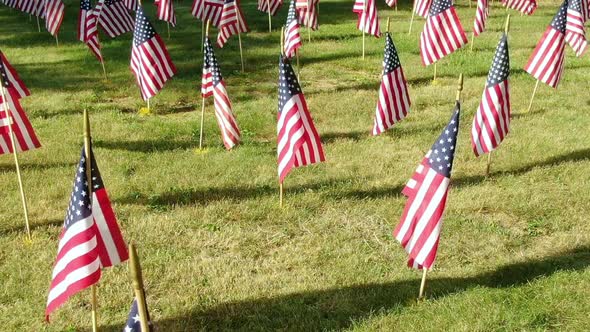 Hundreds of USA flags fluttering on the wind and casting a shadow on the green lawn. 4th July Indepe alt