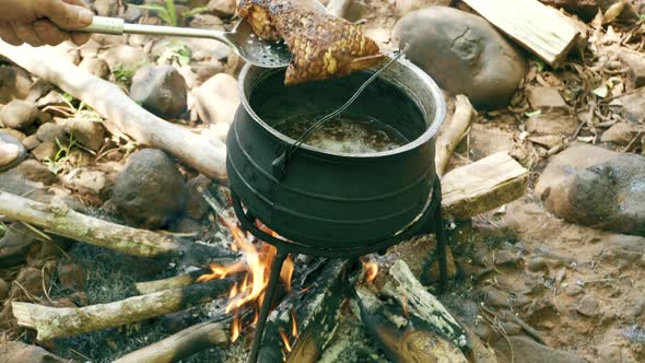 Cooking Fish in Pot on Campfire alt