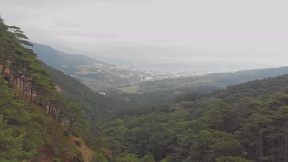 Aerial Shot Flying Over Green Coniferous Forest in Mountain Valley on Summer Day alt