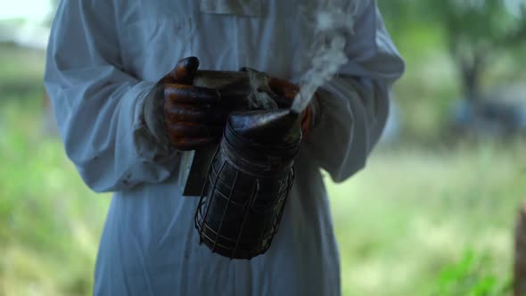 Experienced Beekeeper with Smoke Hive Tool