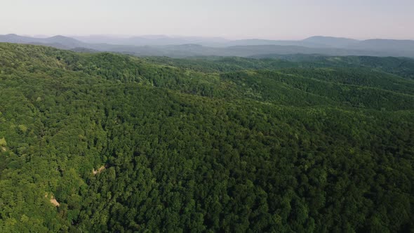 Mountains in the Greenery View From the Air alt