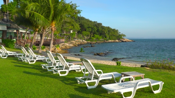 Sun Loungers Overlooking the Ocean Excellent Views of the Ocean, Gorgeous Palm Trees Beautiful Water