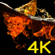 Beer Wave Splash 4K - VideoHive Item for Sale