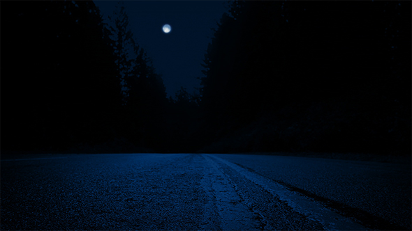 Moving Across Road Through Forest At Night, Stock Footage | VideoHive