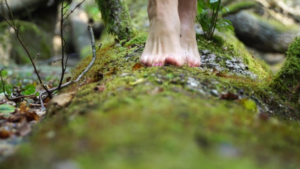 She Goes Barefoot on the Green Moss. Beautiful Slim Legs