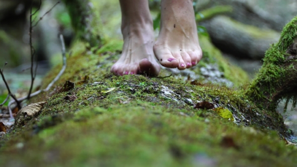 She Goes Barefoot on the Green Moss. Beautiful Slim Legs