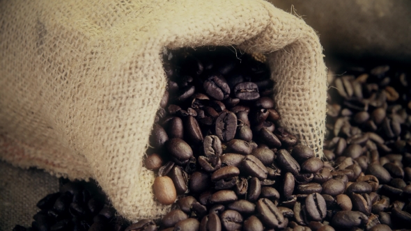 Fresh Coffee Beans