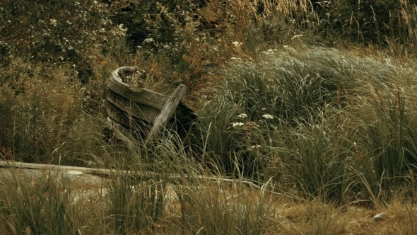 Old Wooden Boat in High Grass on a Lake Shore