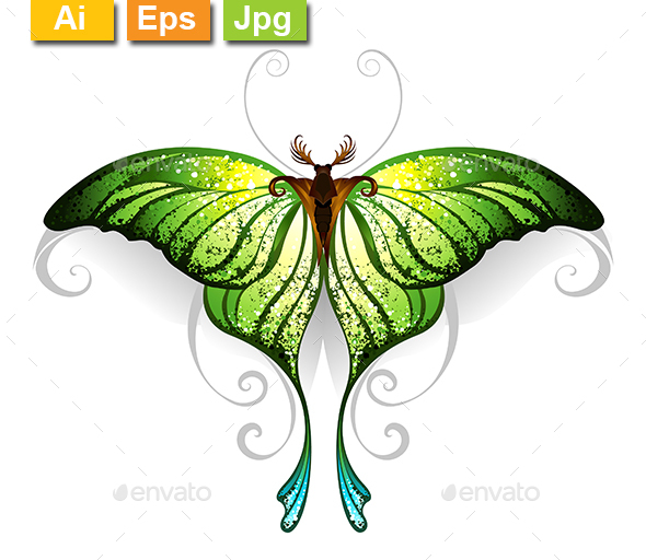 Green Butterfly - Animals Characters